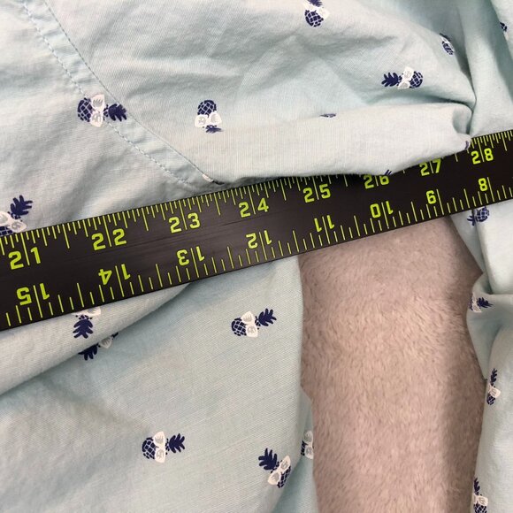 American Eagle Outfitters Mens Shirt XXL Long Sleeve Pineapple Button Up Blue - Picture 4 of 11